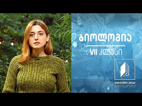 ბიოლოგია VII კლასი - სპოროვანი მცენარეები. ხავსები და გვიმრები. ხავსების მნიშვნელობა #ტელესკოლა